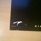 Stringbeans - King Of Trash LP - pikkukuva 4
