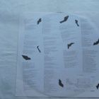 D.I. : What Good Is Grief To A God LP 1988 Punk - pikkukuva 3