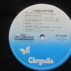 The Fabulous Thunderbirds: T-Bird Rhythm LP Reissue - pikkukuva 3