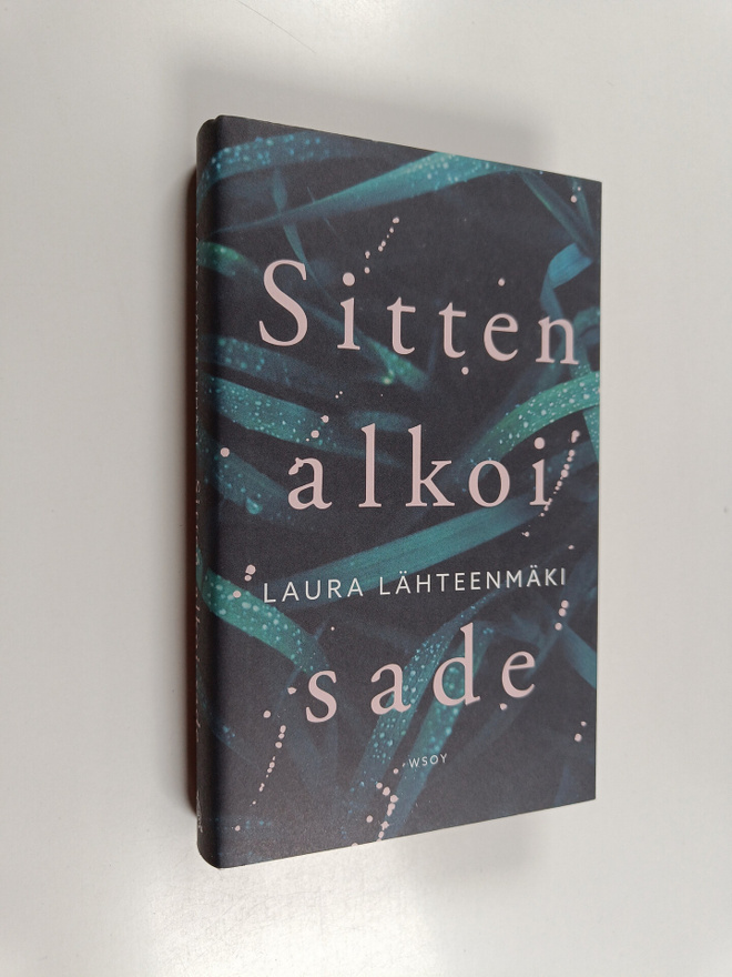 Laura Lähteenmäki : Sitten alkoi sade