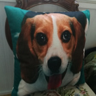Beagle tyynynpäällinen - pikkukuva 3
