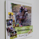 Andrea Berlin : Hevosurheilu 2 - pikkukuva 1