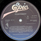 STEVE FORBERT s/t ~ LP - pikkukuva 4