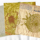 KUVIOPAPERI °°3 kpl°° -SETTI / (H) - pikkukuva 1