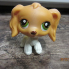 Littlest Pet Shop cockerspanieli. - pikkukuva 1