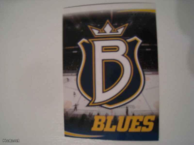 Cardset 2009-10 Blues Teamset 197-214