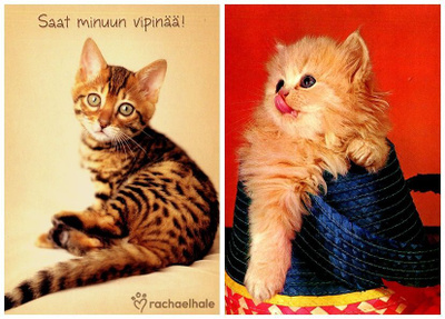 Kaksi kissakorttia2. käyttämättömiä