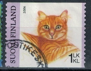 Kissoja, 2006, Lape 1790, siisti