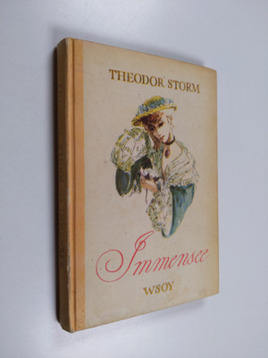 Theodor Storm : Immensee ja muita novelleja