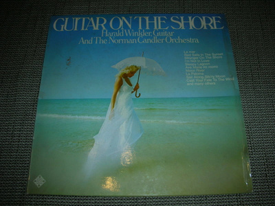 LP Guitar on the shore