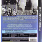 dvd, Tuntematon sotilas (1955, dir. Edvin Laine) [sota] - pikkukuva 2
