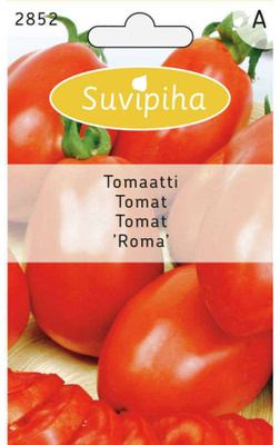 Tomaatti siemenet "Roma" #