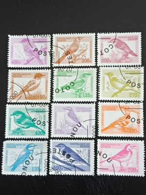 Lintuja
