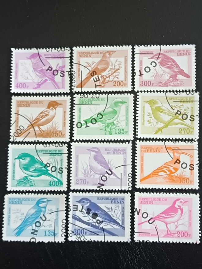Lintuja