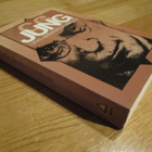 C.G. JUNG Unia, ajatuksia muistikuvia WSOY LAATUKIRJAT kul - pikkukuva 3
