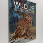 Wildlife of the Kruger National Park and Other Lowveld Re... - pikkukuva 1