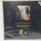 PRINCE AND THE NEW POWER GENERATION EX-/EX+ 12" EP - pikkukuva 2