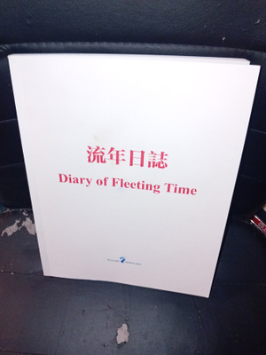 Diary of Fleeting Time - Chinese Contemporary Art ( SIS POS