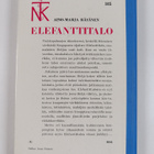 Aino-Maija Räsänen : Elefanttitalo - pikkukuva 2