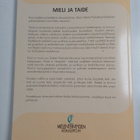 Mieli ja taide - pikkukuva 2