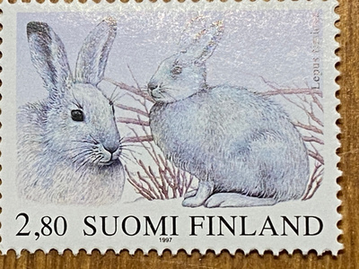 METSÄJÄNIS**