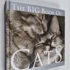 J. C. (edit.) Suares : The Big Book Of Cats - pikkukuva 1