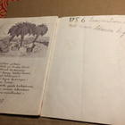 WSOY BABARIN MATKA 1949 - pikkukuva 3