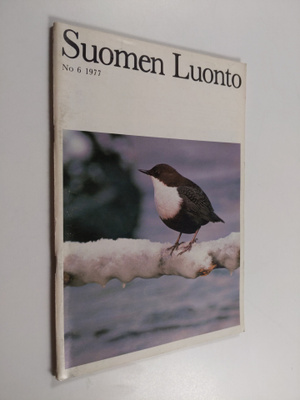 Suomen luonto 6/1977