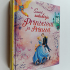 Susanna Davidson : Prinsessat ja prinssit : suuri satukirja - pikkukuva 1