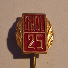SKDL 25 NEULAMERKKI - pikkukuva 1