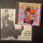 The Delmonas - Hello We Love You, Volume 2 EP (1984) + bonus - pikkukuva 4