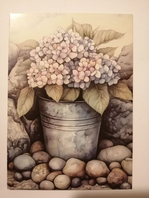 Hortensia ruukussa
