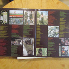 Bob Marley and The Wailers – Burnin' (Gatefold/Island) - pikkukuva 2