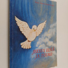 Raija-Anneli Stark-Kokko : Jeesus elää ja toimii - pikkukuva 1
