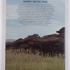 Mark Carwardine : Iceland : nature's meeting place : a wi... - pikkukuva 2