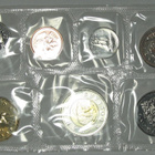 1999 KANADA 1c- 2 Dollari jääkarhu UNC laatu - pikkukuva 4