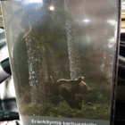 DVD ERÄNKÄYNTIÄ KARHUSALOILLA ( SIS POSTIKULU  ) - pikkukuva 1
