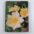 Xenia Field : Xenia Field's Book of Roses - pikkukuva 2