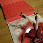 Christian Louboutin  ISO "kenkäfetissikirja" David Lynch - pikkukuva 1