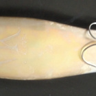 Hopea Uistin - pikkukuva 1