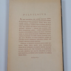 Pilvilaiva : Aleksis Kivi ajan kuvastimessa - pikkukuva 2