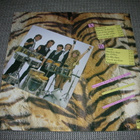 LP G'race: Jungle beat - pikkukuva 2