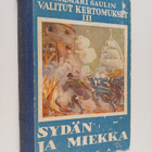 Jalmari Sauli : Sydän ja miekka : historiallinen seikkail... - pikkukuva 1