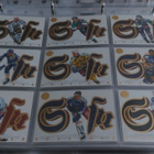 1995-96 SISU Leaf Peruskortit+Erikoiskortit - pikkukuva 3
