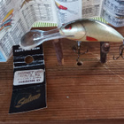 Salmo Hornet Floating SDR 4cm D - pikkukuva 2