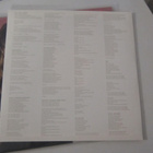 Le Tigre LP EU 2004 This Island - pikkukuva 4