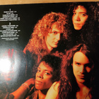Dan Reed Network: Slam (LP) - pikkukuva 2