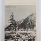 Susan Allison : A Pioneer Gentlewoman in British Columbia... - pikkukuva 2