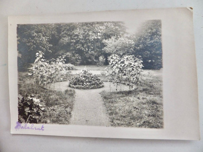 VANHA Valokuva Taalintehdas Dalsbruk Kemiönsaari 1920-l