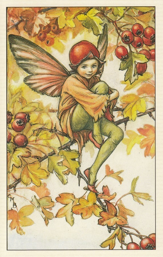 Cicely Mary Barker: Kukkakeijut orapihlaja